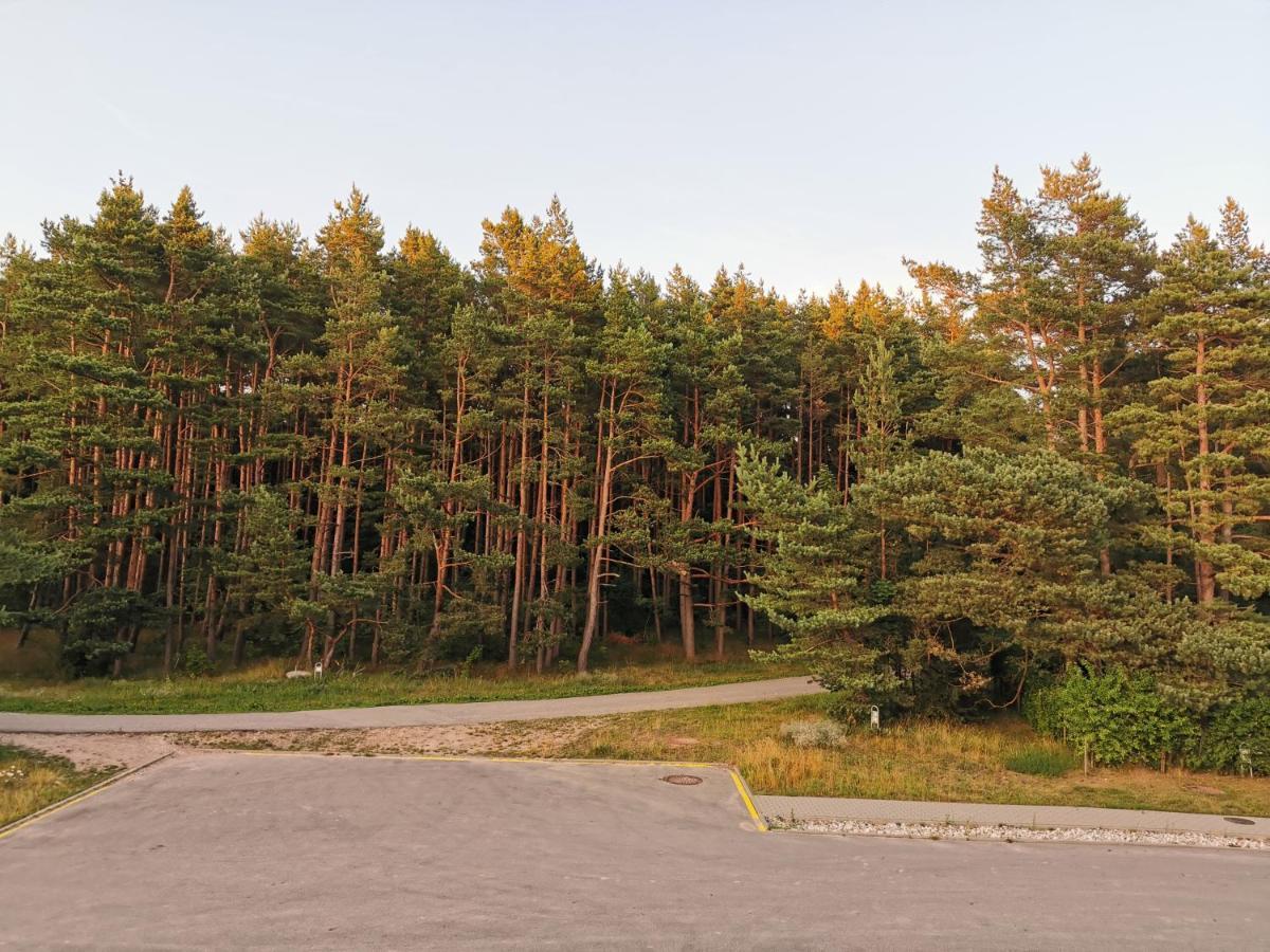 Melnrage Beach Cozy Apartments & Terrace - Pine View Sea Entry Klaipėda Buitenkant foto